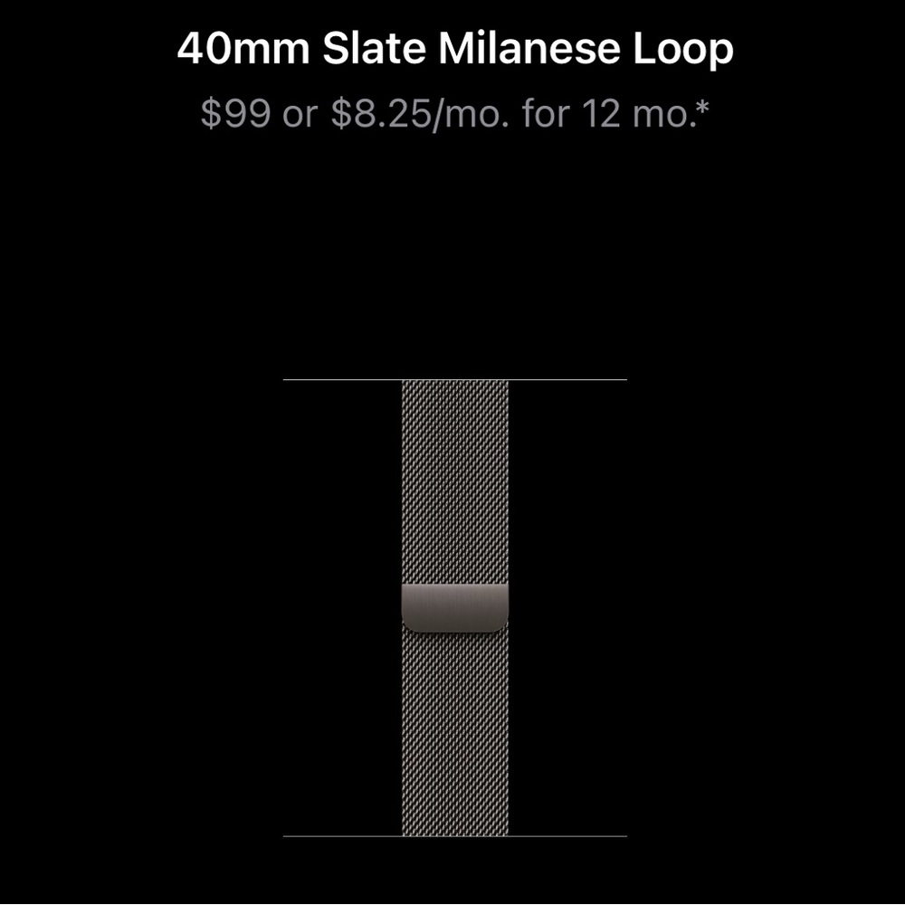 Apple Black Stainless Steel Watch Band